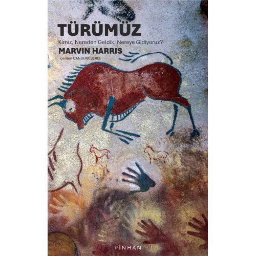 Türümüz: Kimiz, Nereden Geldik, Nereye Gidiyoruz?